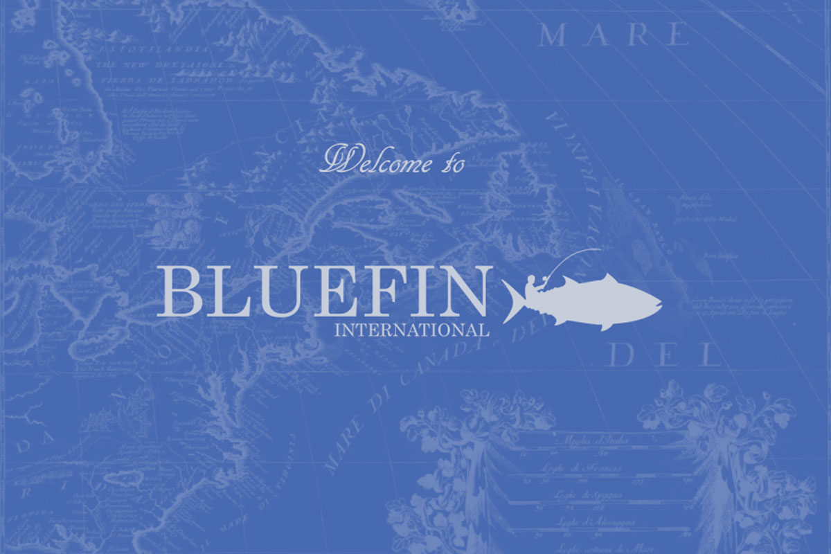 Bluefin International